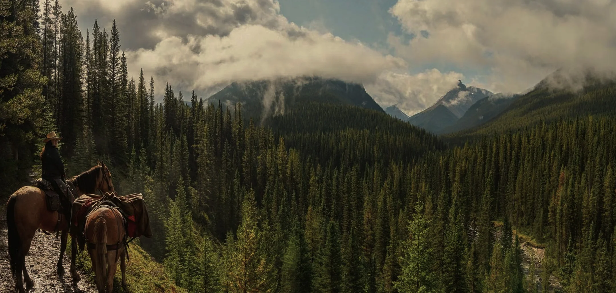 Person riding horse through mountain forest landscape with scenic valley view